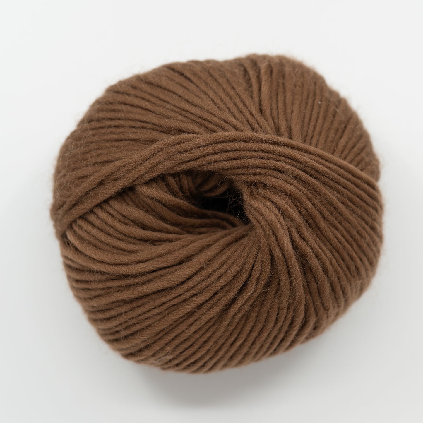 Teddy Bear brown